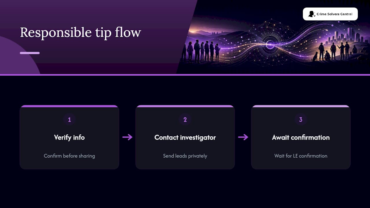 Responsible tip submission and verification flow