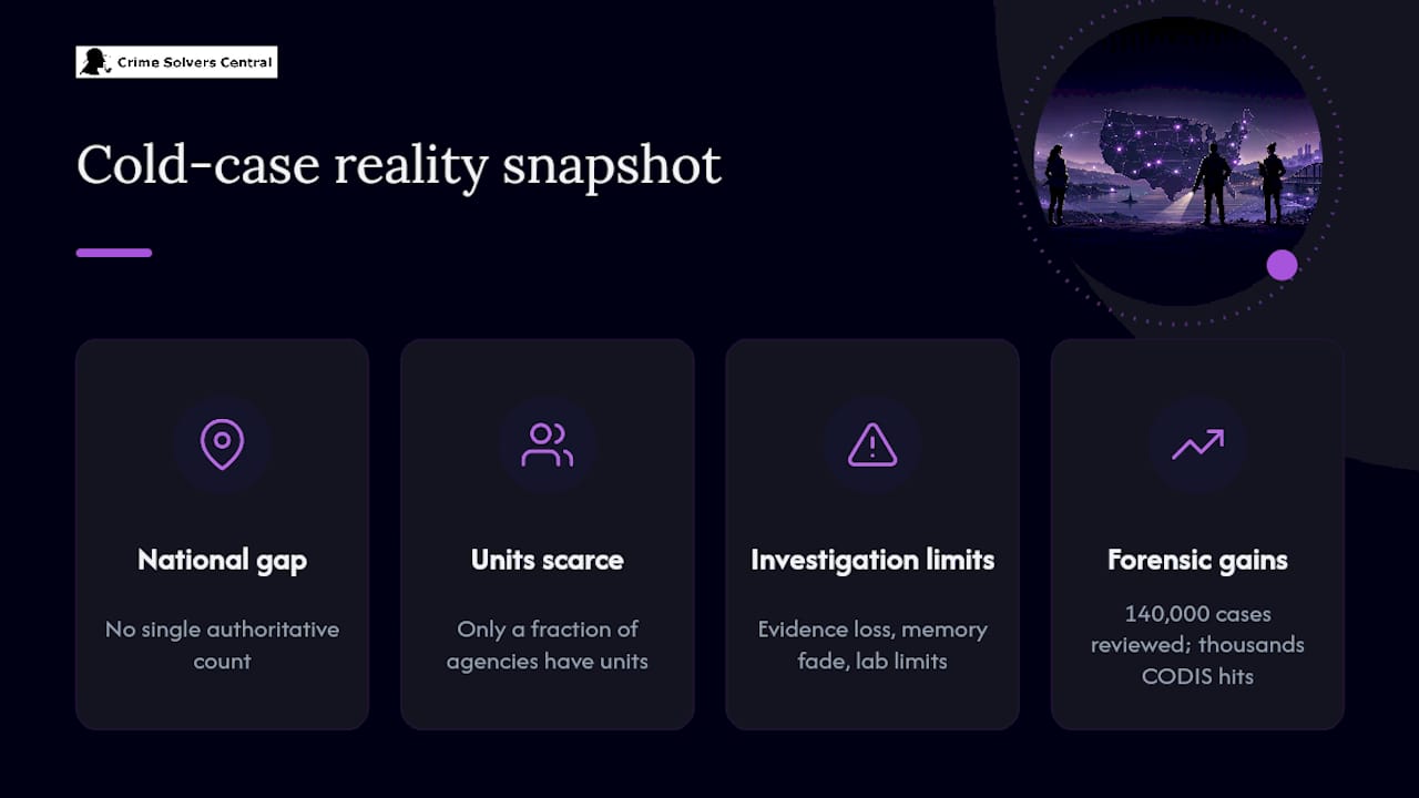 How Many Cold Cases Are There, and How Solvable Are They? — overview diagram