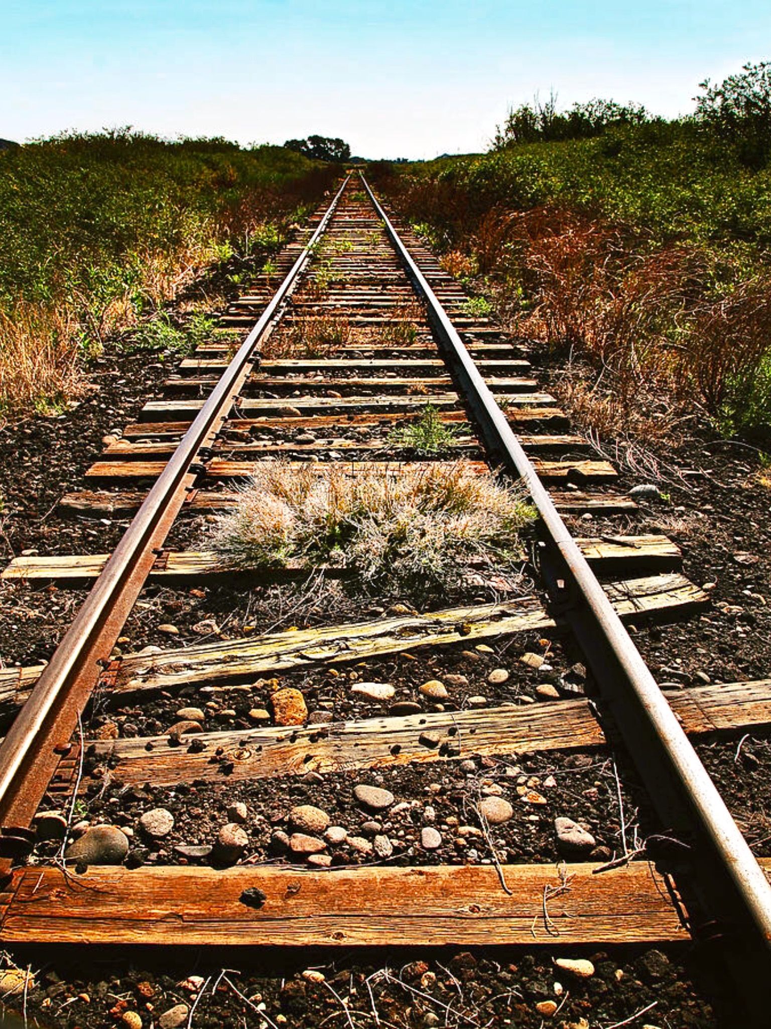 Echoes of the Rails: Unsolved Murders in Abandoned Railroad Towns