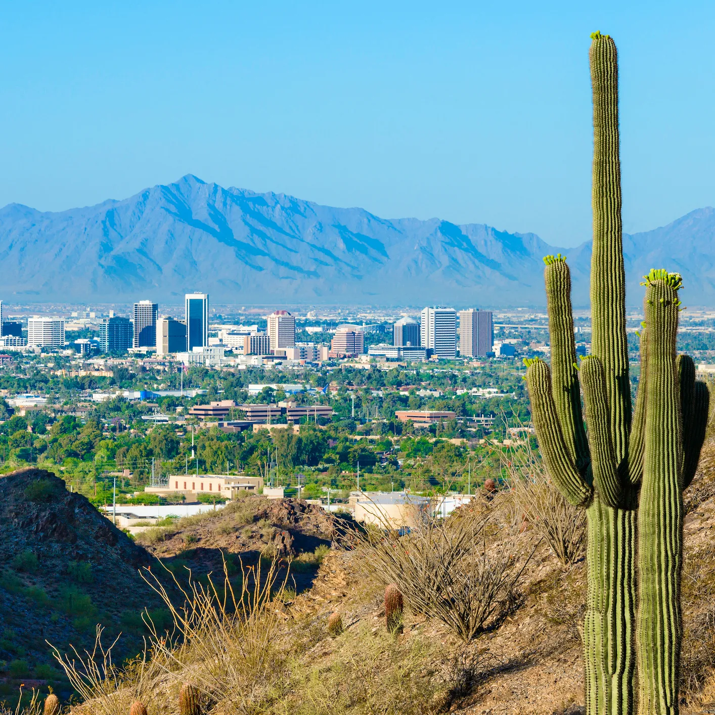 Echoes of the Unresolved: Unsolved Desert Murders in Phoenix