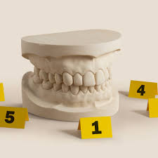 Forensic Odontology: A Journey Through Its Controversial Evolution