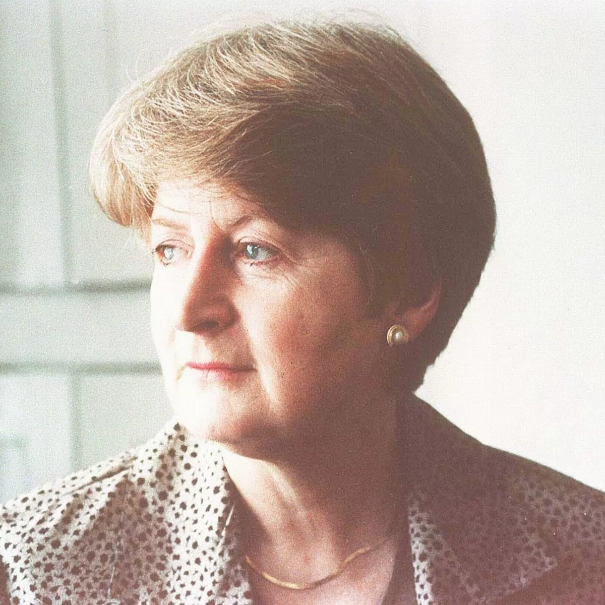 The Vanishing Point: The Unsolved Disappearance of Trevaline Evans