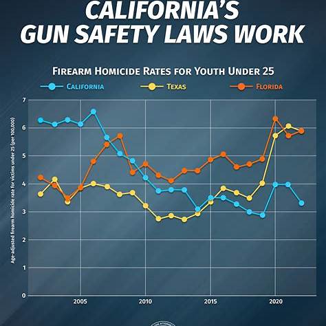 An In-Depth Examination of the Relationship Between State Gun Laws and Violent Crime Rates in the United States