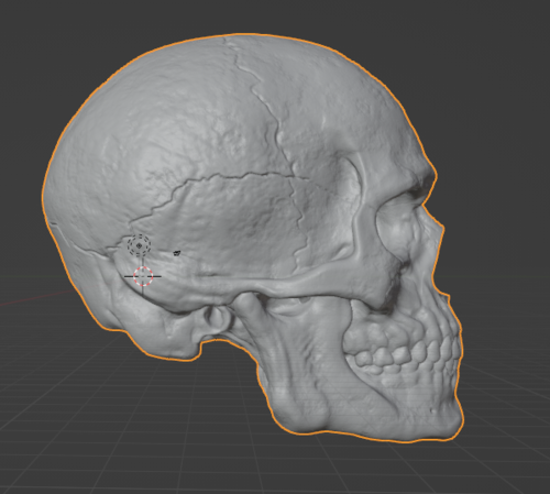  Unveiling the Unseen: The Transformative Role of 3D Skull Reconstruction in Identifying Unknown Victims 