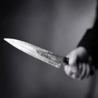 Echoes of Violence: Unraveling the Copycat Effect in High-Profile Crimes