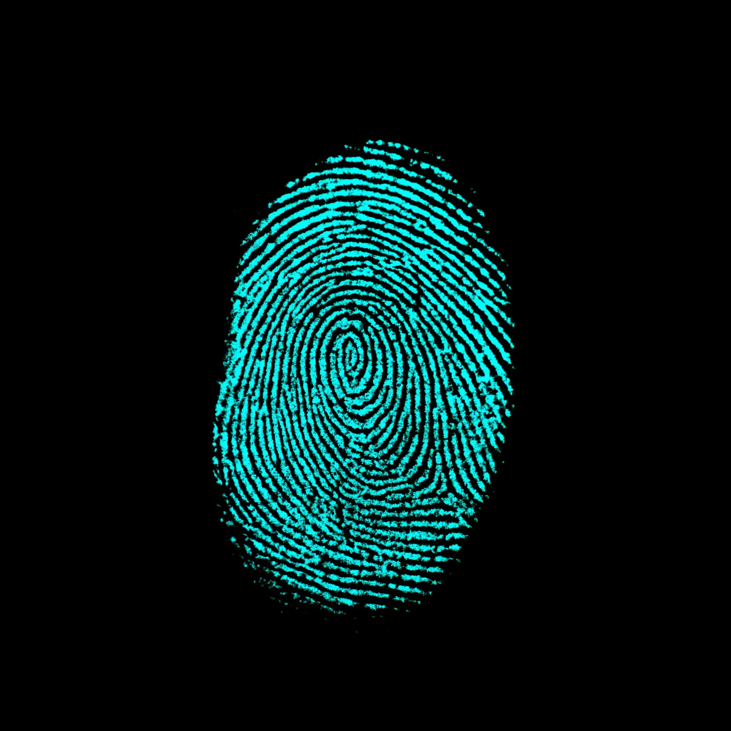 Fingerprint Evidence: Scrutinizing Its Reliability in Modern Forensics