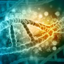 When Science Missteps: The Perils of DNA Evidence Leading to Wrongful Arrests