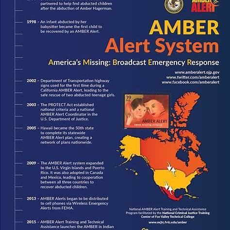 Unveiling the Mechanisms and Efficacy of the AMBER Alert System