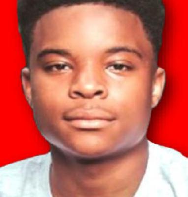 Gabriel Williams death by force case profile photo
