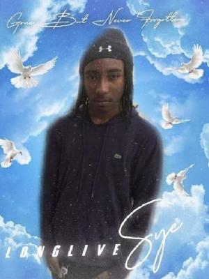 Syehe Brunson death by force case profile photo