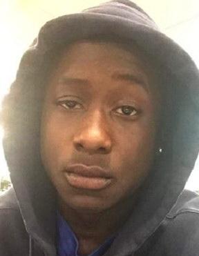 Loindale Johnson death by force case profile photo