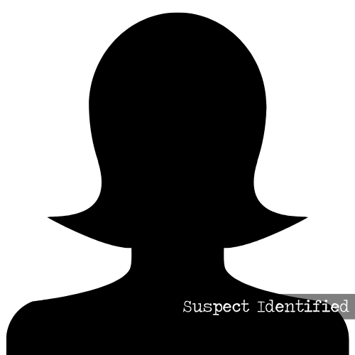 Maura Baquedano death by force case profile photo
