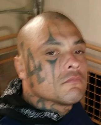 Jeffrey Ayala death by force case profile photo