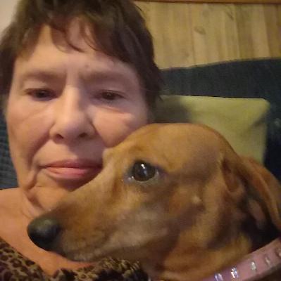 Mary Casey death by force case profile photo