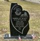 Darrin Wyatt death by force case profile photo