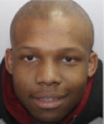 Ethaniel Holmes death by force case profile photo