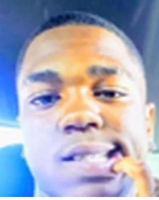 Kendrick Johnson death by force case profile photo
