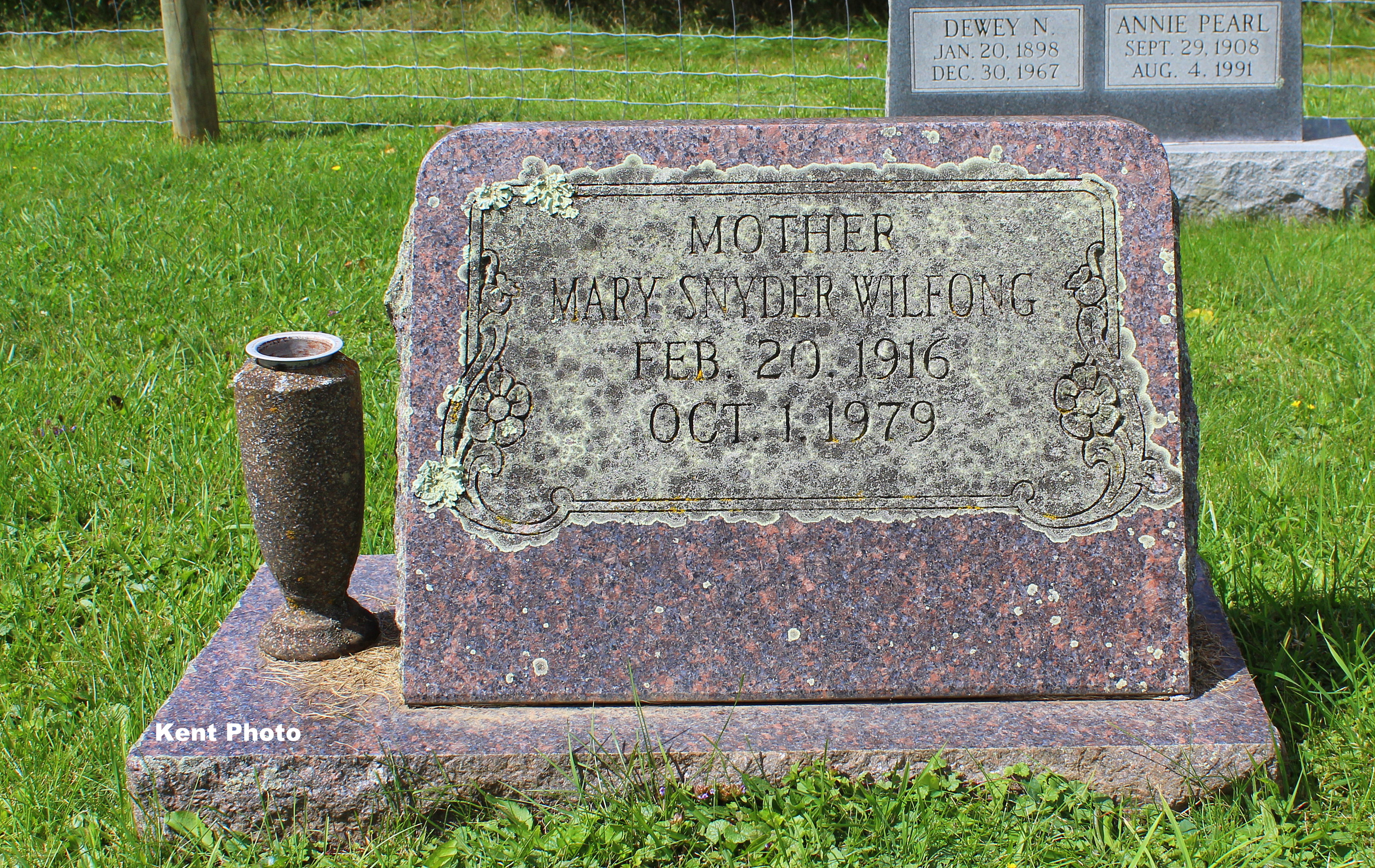 Mary Wilfong death by force case profile photo
