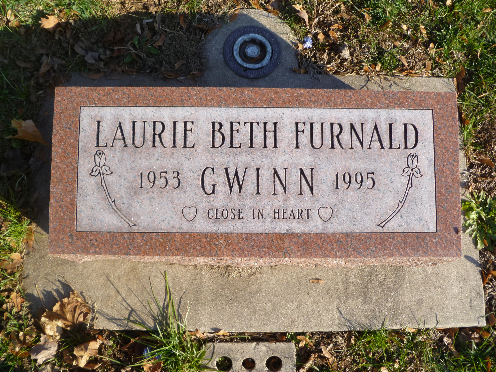 Laurie Gwinn death by force case profile photo
