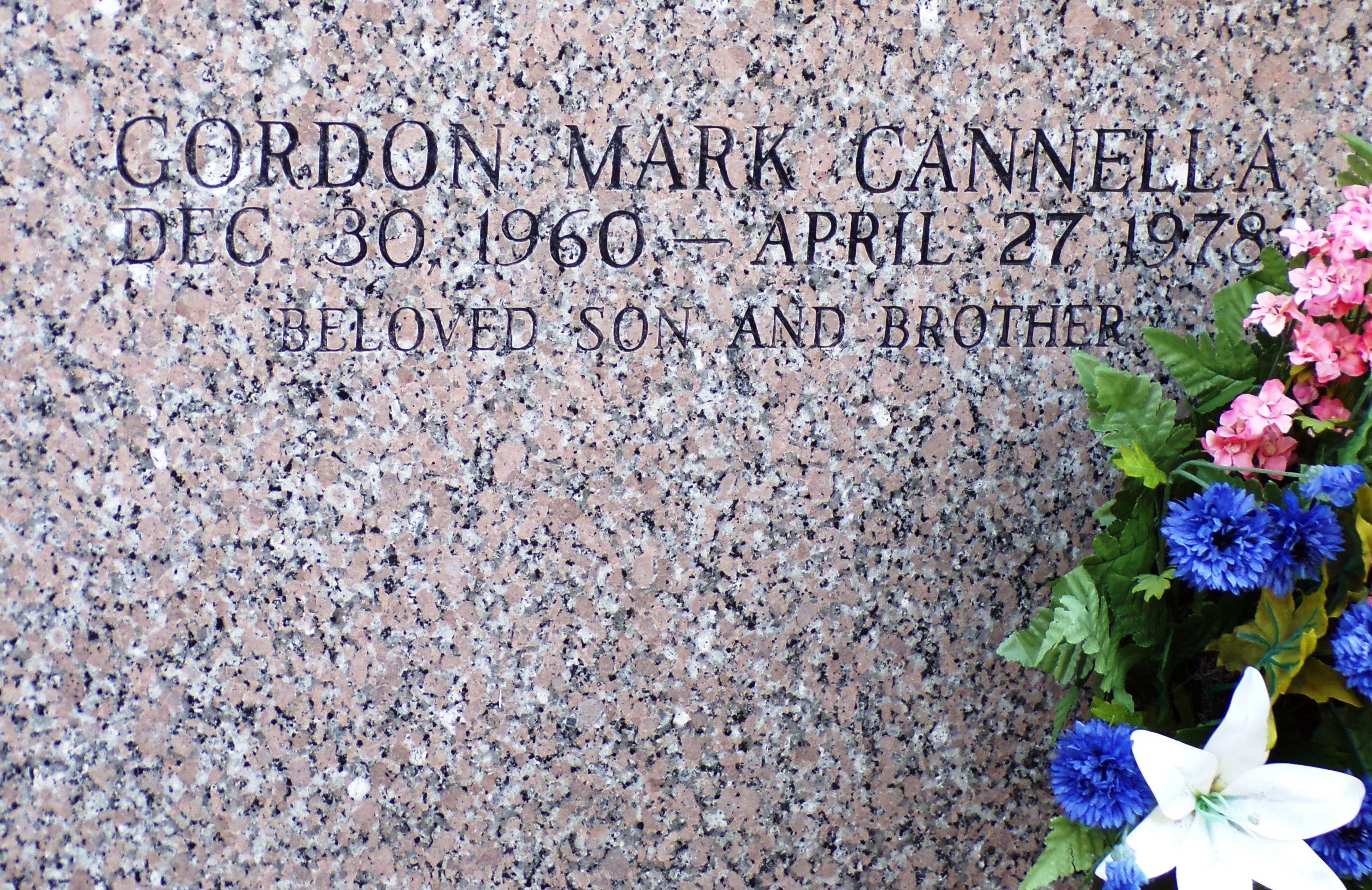 Gordon Mark Cannella death by force case in Morgan City, LA