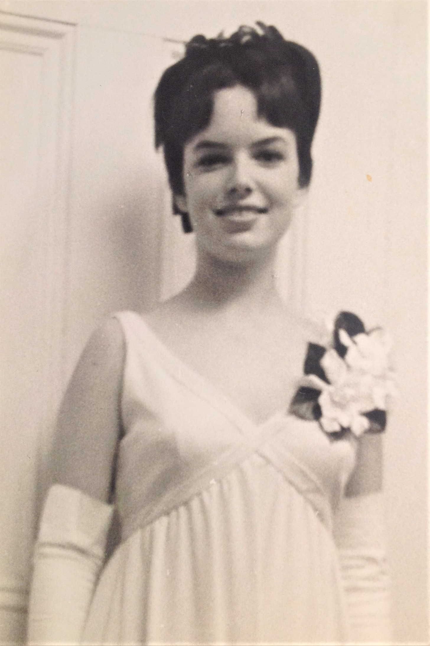 Ann Johnson death by force case profile photo