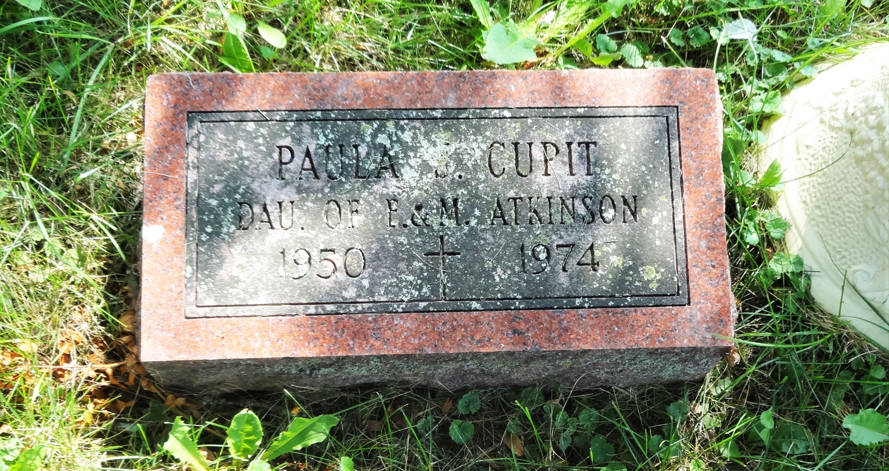 Paula Cupit death by force case profile photo