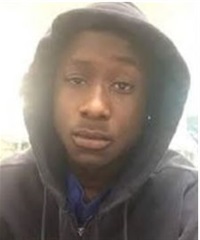 Liondale Johnson death by force case profile photo