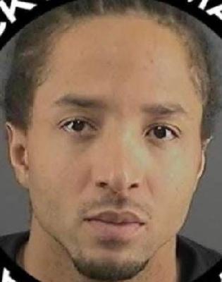 Davelle M. Wilder death by force case in Peoria, IL