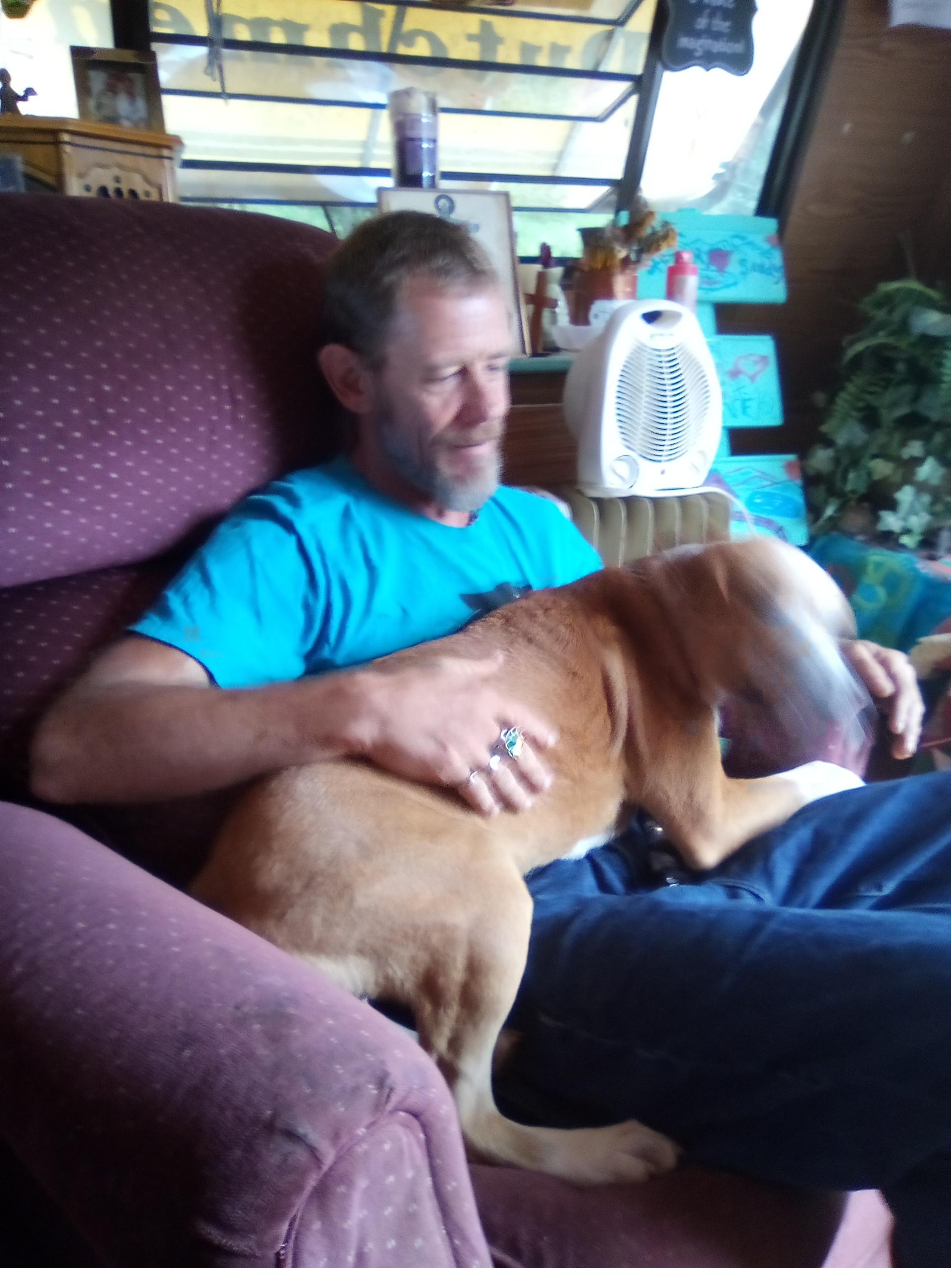 Mark Stephen Foster death by force case in Campobello, SC
