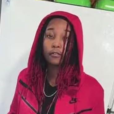 Chauncia Meekins death by force case profile photo