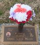 Cedric Miller death by force case profile photo