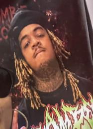 Brian Westbrook death by force case profile photo
