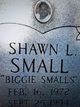 Shawn Small death by force case profile photo