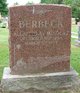 Allan Berbeck death by force case profile photo