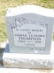 Ahmad Thompson death by force case profile photo