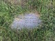 Larry Irving death by force case profile photo