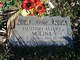 Faustino Molina death by force case profile photo