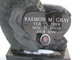 Raemon Gray death by force case profile photo