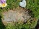 Deborah Pearson death by force case profile photo