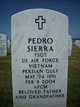 Pedro Sierra death by force case profile photo