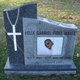 Felix Walls death by force case profile photo