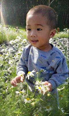 Kai Vue death by force case profile photo