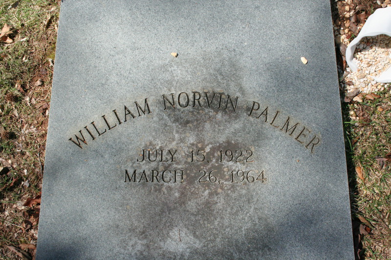 William Palmer death by force case profile photo