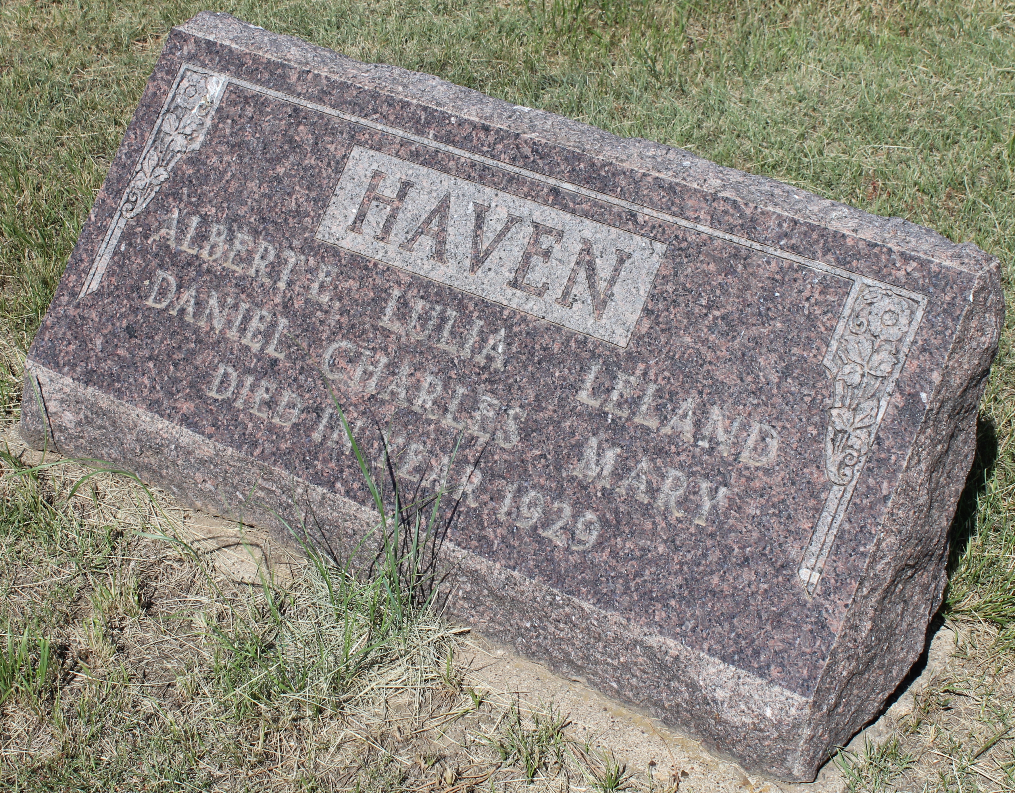 Lulia Haven death by force case profile photo