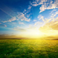 Chester Cavaliere death by force case profile photo
