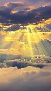 Soheyla Nosrati death by force case profile photo