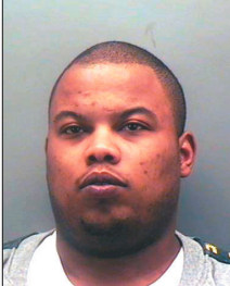 Stephan Ellis death by force case profile photo