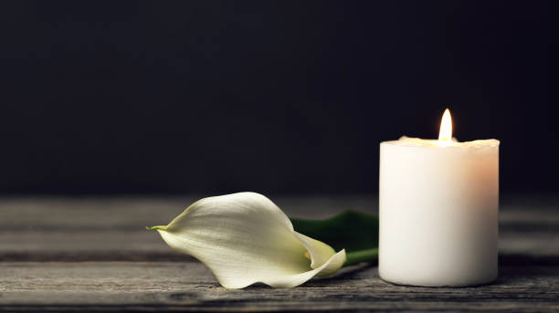 Sophie Macar death by force case profile photo