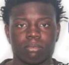 Louijice Camille death by force case profile photo