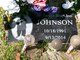 Jatarvis Johnson death by force case profile photo